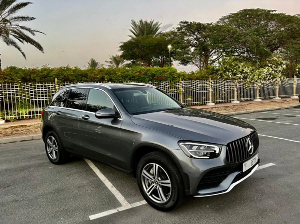  اللون الرمادي مرسيدس جي ال سي 300 Photo 3