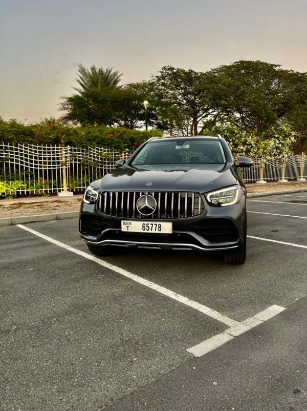  اللون الرمادي مرسيدس جي ال سي 300 Photo 6