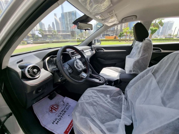  اللون الرمادي إم جي ZS Photo 5