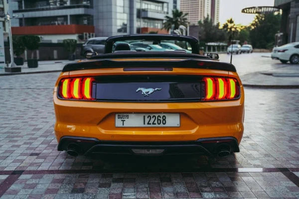  Orange Ford Mustang VT4 Photo 3