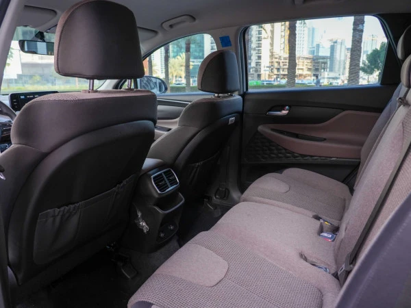  Bianco perla Hyundai Santa Fe Photo 9