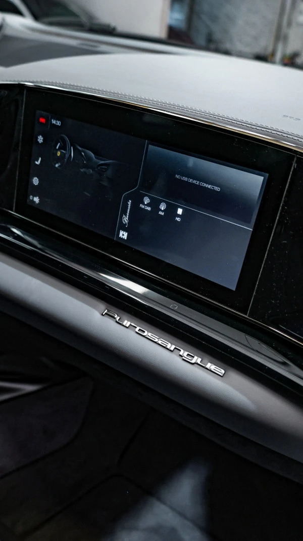  Rouge Ferrari Purosangue Photo 10