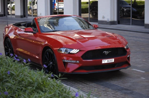  Red Ford Mustang Photo 3