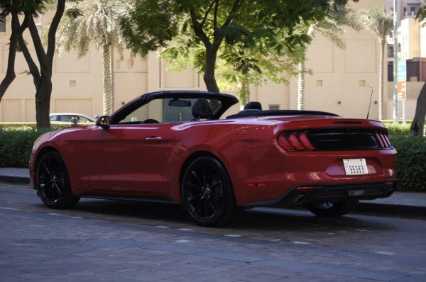 Red Ford Mustang Photo 4