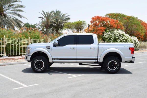  Silver Ford F150 Shelby Photo 3