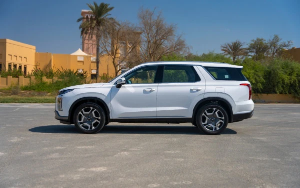  Blanc Hyundai Palisade Photo 2