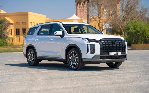  Blanc Hyundai Palisade Photo 3