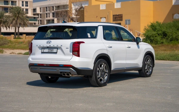  Blanc Hyundai Palisade Photo 4