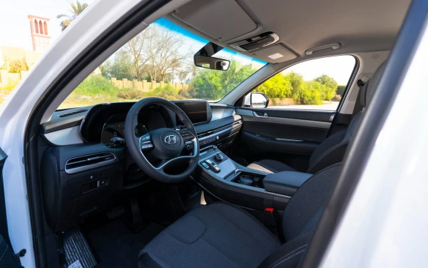  Blanc Hyundai Palisade Photo 5