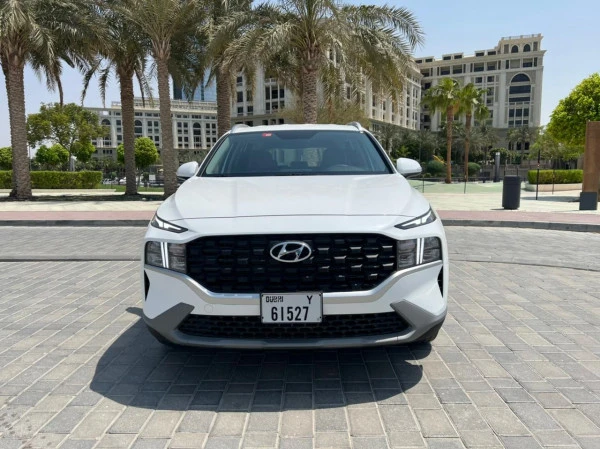  Bianca Hyundai Santa Fe Photo 4