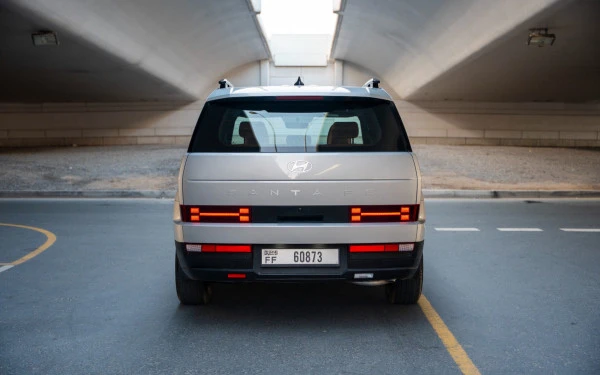  White Hyundai Santa Fe Photo 13