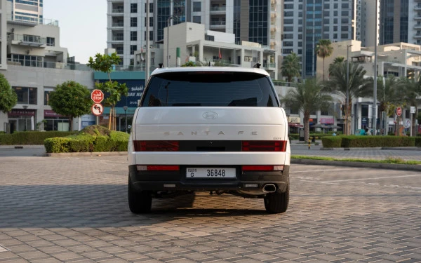  Bianca Hyundai Santa Fe Photo 7