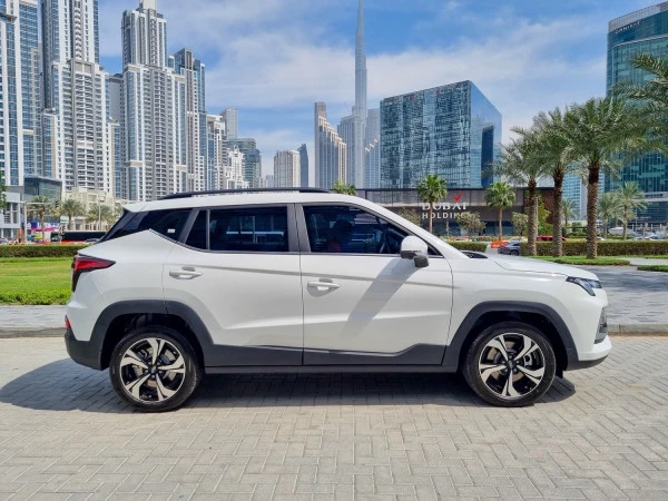  White JAC JS4 Photo 3