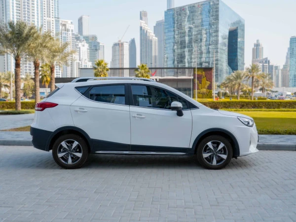  White JAC S3 Photo 11