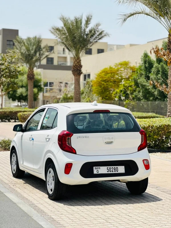  White KIA Picanto 2023 Photo 5