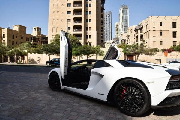  White Lamborghini Aventador S Roadster Photo 3