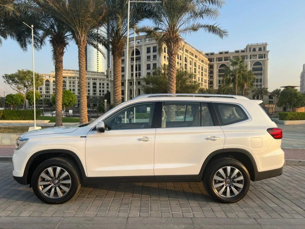  White MG RX8 Photo 2