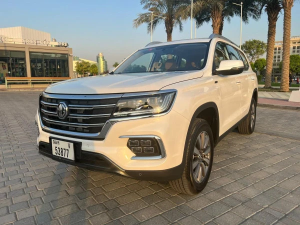  White MG RX8 Photo 4