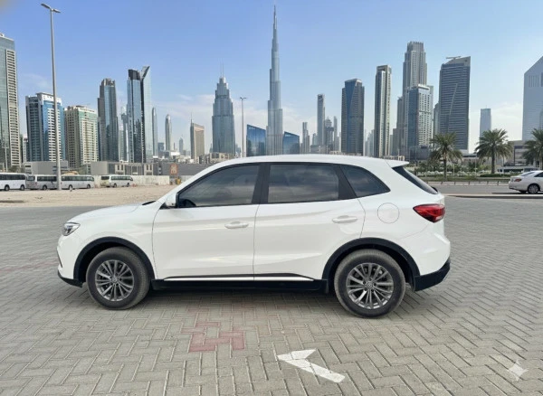  White MG ZS PLUS Photo 2